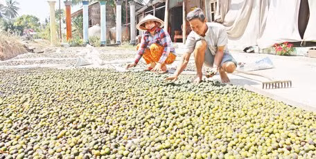 Lam giau khac nguoi: Ca lang do bo, nhat rac nay ve phoi kiem bon tien