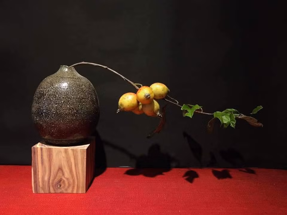 Chán ngâm rượu, chị em lùng mua cành táo mèo về cắm bình Chan ngam ruou, chi em lung mua canh tao meo ve cam binh