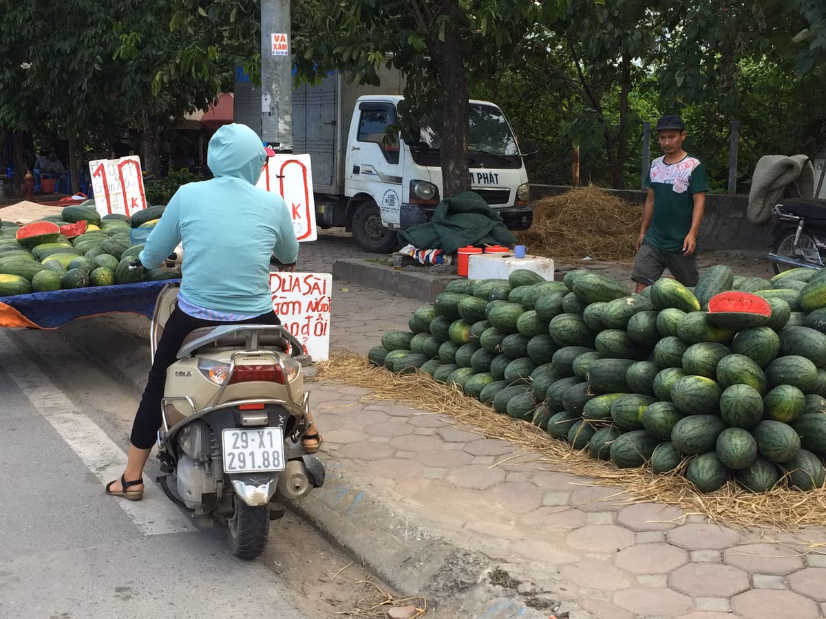 Dọc nhiều tuyến đường như Láng, đại lộ Thăng Long, Nguyễn Xiển, Xa La,... không khó để bắt gặp hình ảnh các sạp hàng hoa quả giá rẻ bày bán bên lề đường.