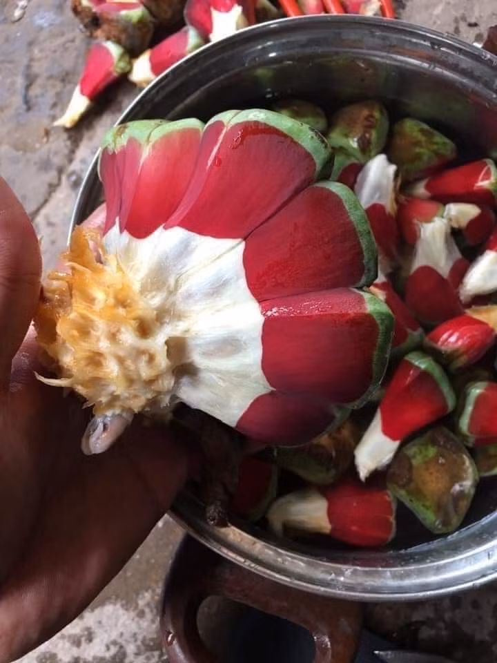 Na rửa sạch, để ráo nước. Sau đó, bóc ra từng múi nhỏ. Nên chọn bình thủy tinh hoặc bình gốm sứ để ngâm rượu na. Ảnh: Facebook.