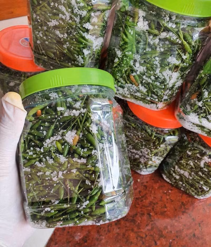 Nguyên nhân khiến ớt gió Hà Giang được nhiều người yêu thích là vì ớt cay nhưng thơm, không nồng, mùi thơm thoang thoảng vị thảo mộc khiến người dùng có cảm giác như một vị thuốc. Ảnh: FB.