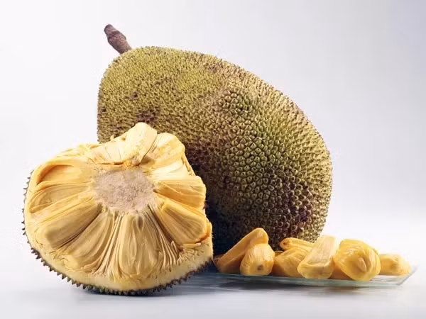 Hơn nữa, mít chín cây có vị ngọt thanh, bùi, giòn nhưng không cứng. Mít ngâm hóa chất có màu vàng óng nhưng múi mít cứng và sượng, cắn vào có vị lờ lợ. Nguồn ảnh: Internet.