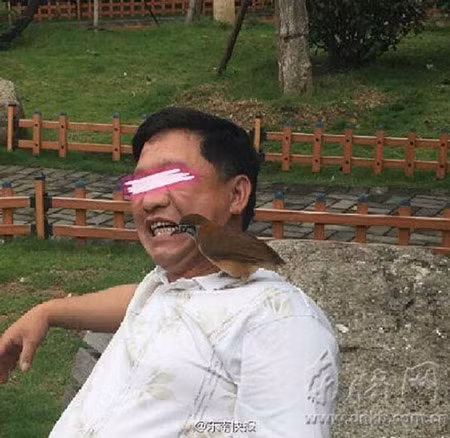 Hành động “điên rồ” của đại gia Trung Quốc chỉ để... "vui" Hanh dong “dien ro” cua dai gia Trung Quoc chi de...