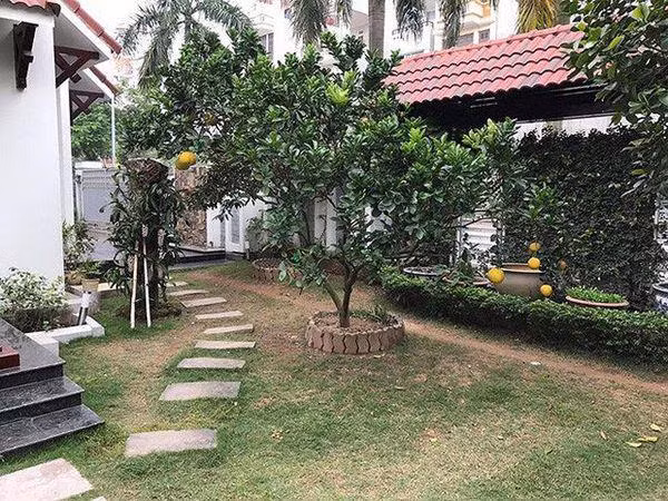 Khu vườn đầy cây trái bên trong biệt thự.
