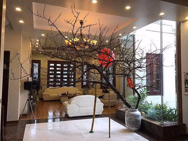 Bên trong phòng khách được đặt 1 bộ sofa trắng theo phong cách hiện đại.