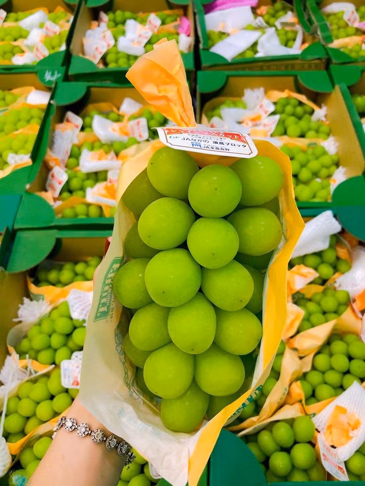 Cô Nhung (Cầu Giấy, Hà Nội) thích mua loại nho rụng vì giá rẻ hơn nhiều so với loại nguyên cành trong khi chất lượng nho vẫn không thua kém nhiều.