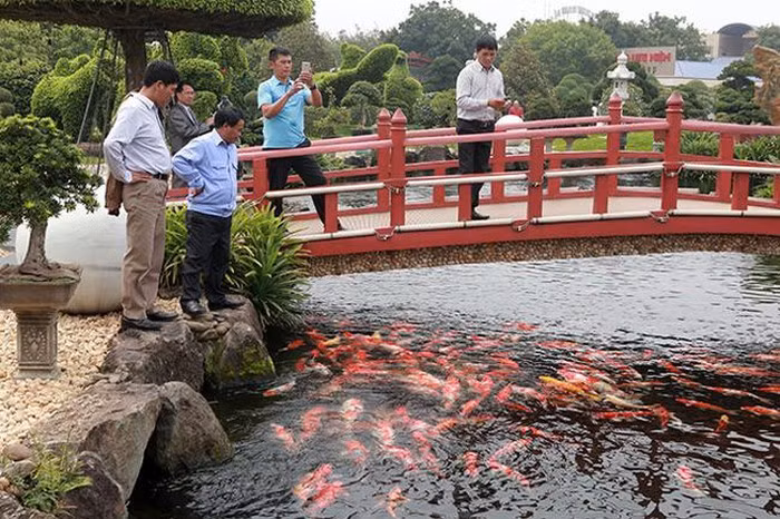 Đặc biệt nhất là đáy và thành hồ cá Koi của anh Dũng được đổ lớp bê tông dày. Thành hồ được ghép bằng gần 100 tấn đá quý mang từ Quỳ Hợp (Nghệ An) về Thái Nguyên. Ảnh: Dân Việt