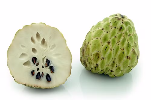 Tuy nhiên, na không hạt có giá bán trên thị thường từ 90.000-100.000 đồng/kg tuỳ thời điểm, đắt gấp 2-3 lần so với na thường.