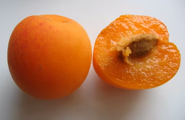 Mận mơ (Plumcot) là loại quả nửa mận, nửa mơ.