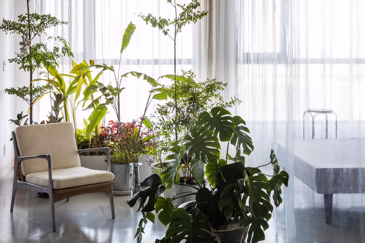 Nội thất hướng đến sự tối giản.