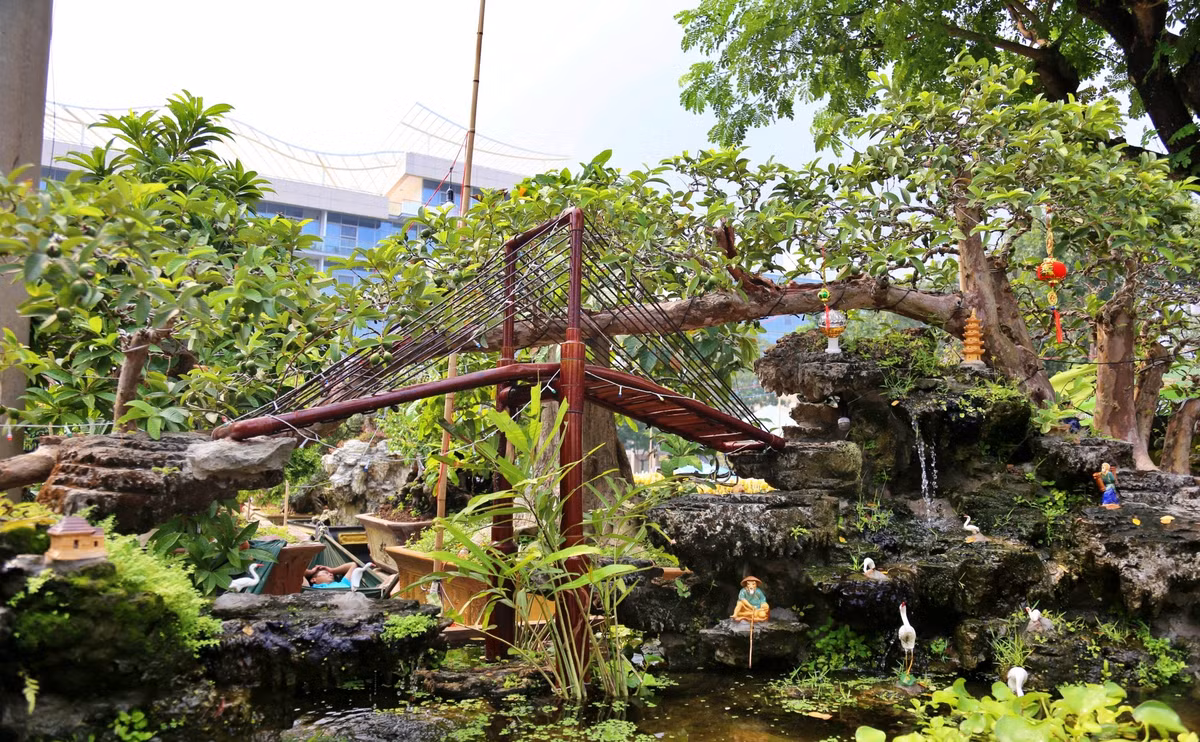 Gốc ổi tạo thế "qua cầu" độc đáo này được định giá lên tới 1,2 tỷ đồng. Ảnh: Báo phụ nữ.