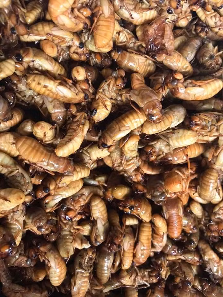 Khách mua số lượng lớn thường có giá rẻ. Trong khi đó, khách lẻ mua 1-2kg sẽ phải chịu mức giá đắt hơn.