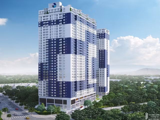 Công ty có ngành nghề kinh doanh chính là kinh doanh bất động sản, quyền sử dụng đất thuộc chủ sở hữu, chủ sử dụng hoặc đi thuê... Theo công bố thay đổi nội dung đăng ký doanh nghiệp vào tháng 1/2019, vốn điều lệ C-Holdings đã giảm từ 1.169 tỷ đồng xuống còn 428 tỷ đồng.