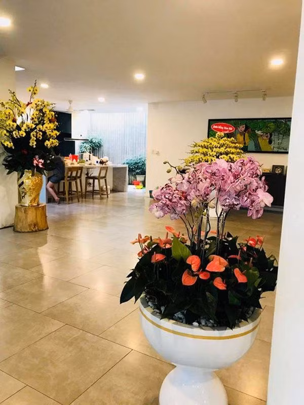 Biệt thự của Hồ Ngọc Hà được dọn dẹp sạch sẽ và để nhiều loại cây đặc trưng vào ngày Tết như mai, lan, cúc...