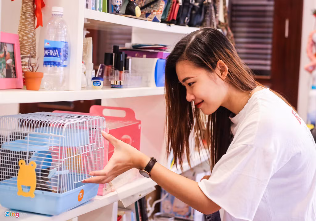 Để nuôi chuột hamster, người nuôi cần sắm nhiều loại phụ kiện như lồng nuôi, thức ăn cho đến những những món đồ chơi, đá mài răng...Ảnh: Zing.