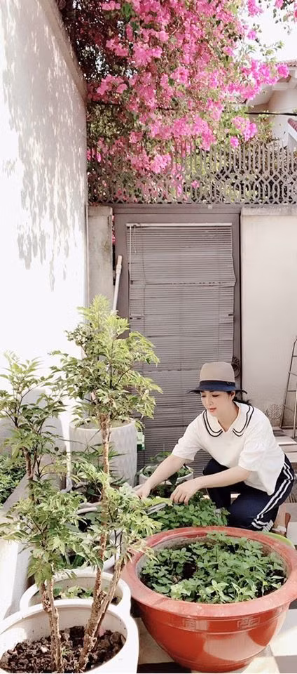 Tại "chốn bình yên" đắt giá này, Giáng My cũng tự trồng nhiều loại rau, hoa để không gian sống thêm đẹp.