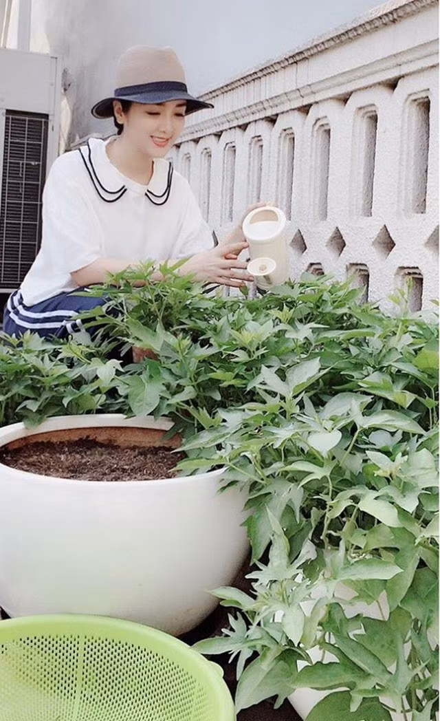 Tận dụng thời gian rảnh rỗi lúc nghỉ dịch COVID-19, Hoa hậu Đền Hùng Giáng My đã dành thời gian chăm sóc khu vườn của mình.