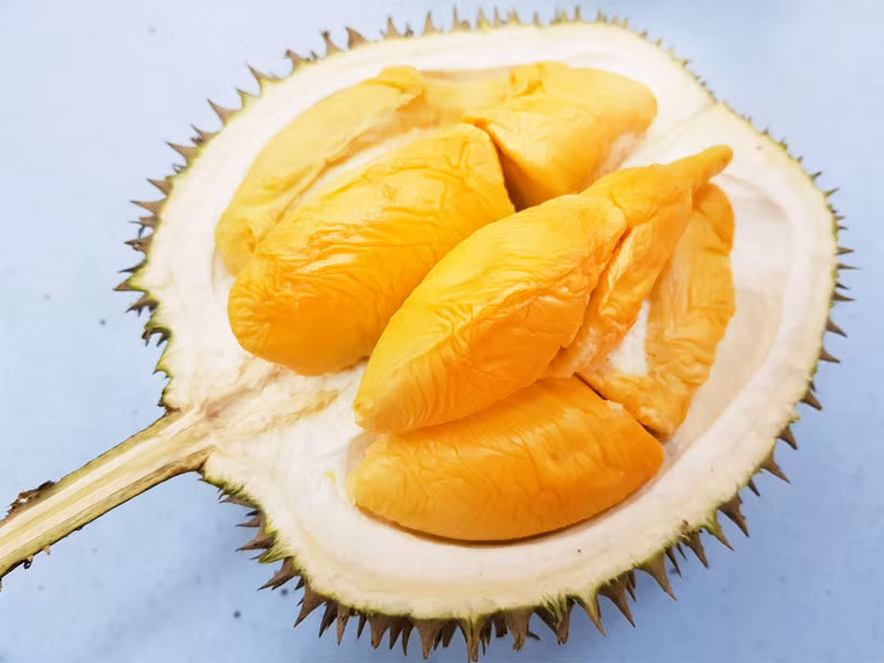 Khác với sầu riêng Thái Lan và Việt Nam, sầu riêng Musang King được thu hoạch hoàn toàn từ trái sầu riêng chín hẳn và rụng xuống nên cho ra độ ngậy và thơm vượt trội. Ảnh: Rickyfruit.