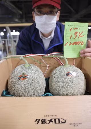 Theo Nippon, ngày 25/5 vừa qua, một cặp dưa lưới Yubari vừa bán ra với giá 120.000 Yên (gần 26 triệu đồng) trong buổi đấu giá đầu tiên vào mùa thu hoạch năm nay ở Hokkaido (Nhật Bản). Ảnh: Nippon.