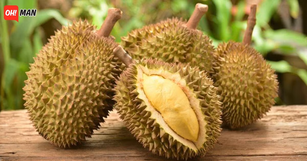 Sầu riêng Kanyao trồng ở trang trại Pa Toi Lung Mu (tỉnh Nonthaburi, Thái Lan) được đánh giá là giống sầu riêng thơm ngon và đắt giá nhất thế giới hiện nay.