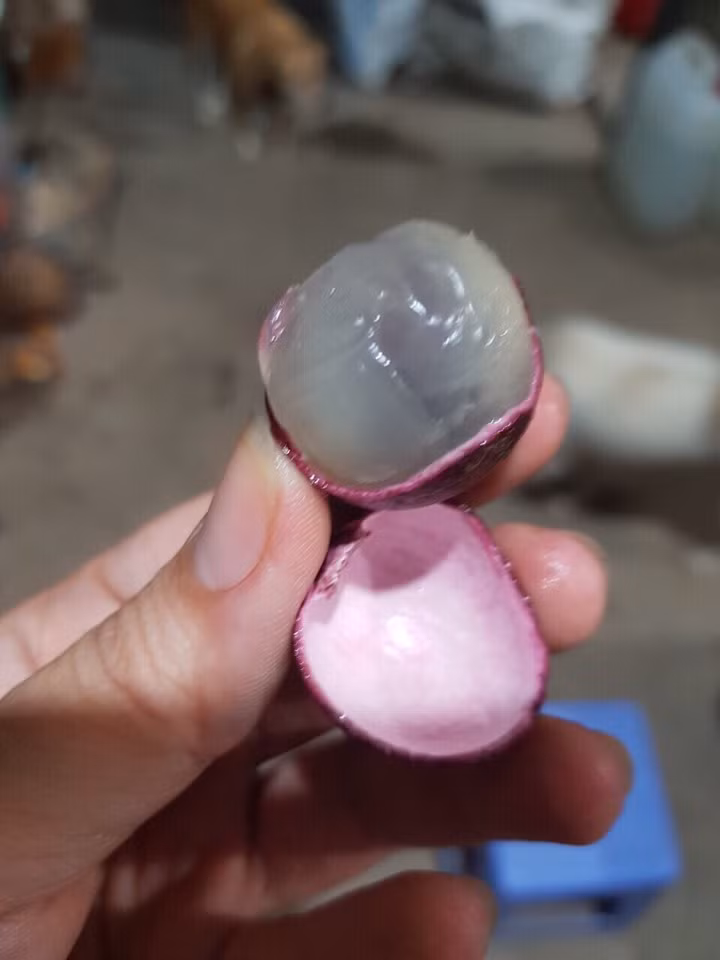 Nhãn tím còn có cơm dày và có mùi thơm hơn nhãn thường. Ảnh: Internet.