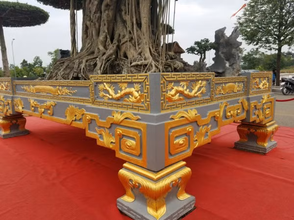 Đáng chú ý, cây sanh được đặt trong chiếc chậu dát 5 cây vàng trị giá 185 triệu đồng. Ảnh: Dân Việt.