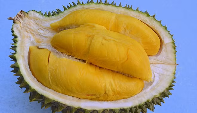Nếu nhấn vào cảm giác được độ mềm dẻo cùng màu vàng tươi óng ánh của múi thịt thì đó là sầu riêng chín cây và không qua hóa chất.