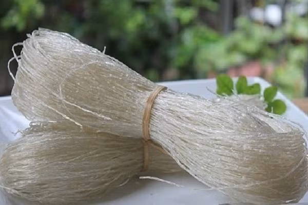 Miến là một trong những món ăn không thể thiếu trong mâm cơm ngày Tết cổ truyền. Nguyên tắc đầu tiên trong việc chọn miến dong an toàn đó là về màu sắc.