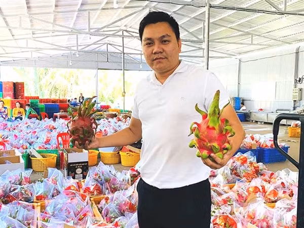 Số liệu của Cục Bảo vệ thực vật (Bộ NN&amp;PTNT) cho thấy, tính đến ngày 31/1, có 267 xe thanh long chưa được làm thủ tục thông quan và ùn ứ tại các cửa khẩu ở Lạng Sơn, Lào Cai. Ảnh: Plo.