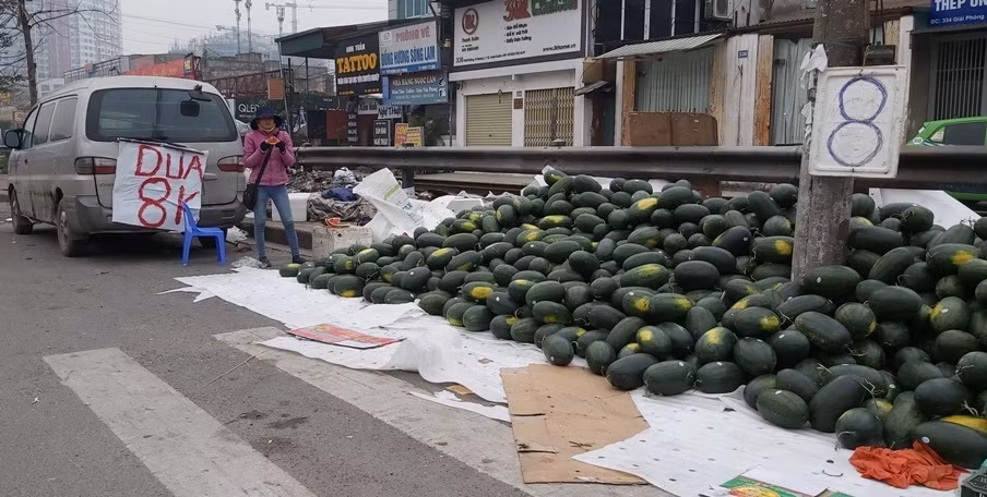 Không chỉ thanh long, dưa hấu Việt xuất khẩu sang Trung Quốc tắc vì virus corona phải ngược từ cửa khẩu về Hà Nội bán tháo với giá chỉ 8.000 đồng/kg. Ảnh: Baogiaothong.