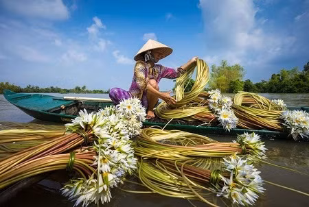 Vẻ đẹp miền sông nước ở vùng châu thổ sông Mekong. Ảnh chụp của Nhiem Hoang/Smithsonian Magazine.