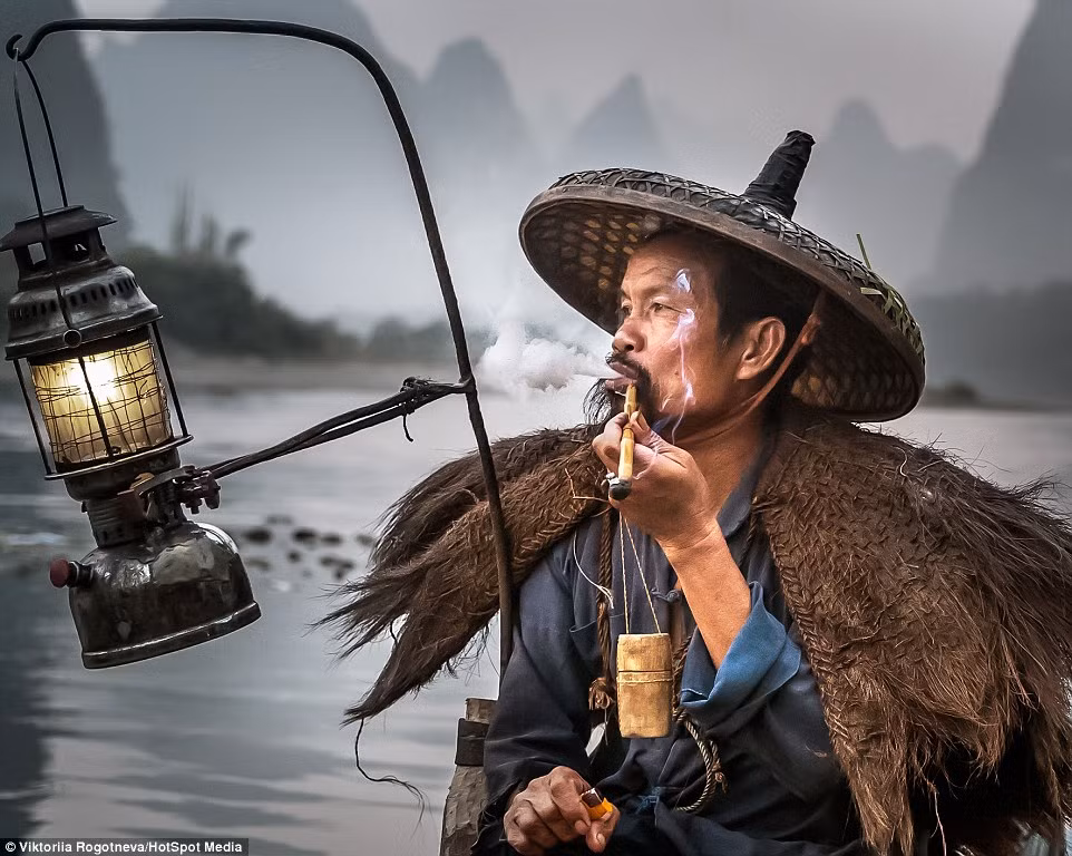 Những ngư dân nuôi chim cốc từ khi chúng còn rất nhỏ. Vì vậy, họ coi chúng là thú cưng hơn là loài chim săn mồi.