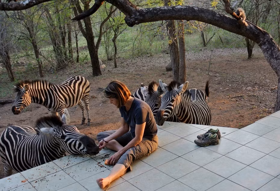 Từ bao đời nay, người dân ở thị trấn Marloth Park phải sống chung với thú dữ. Những con thú hoang dã lang thang trong thị trấn không còn là điều xa lạ. Chúng thường xuyên chui đầu qua cửa sổ vào ăn trộm thức ăn trong các gia đình.
