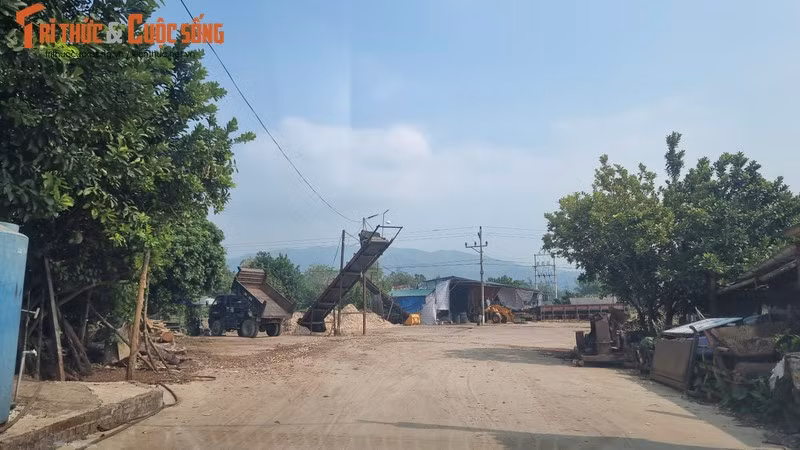 Loạt xưởng dăm gỗ trái phép ở Hoà Bình, ai chịu trách nhiệm? Loat xuong dam go trai phep o Hoa Binh, ai chiu trach nhiem?
