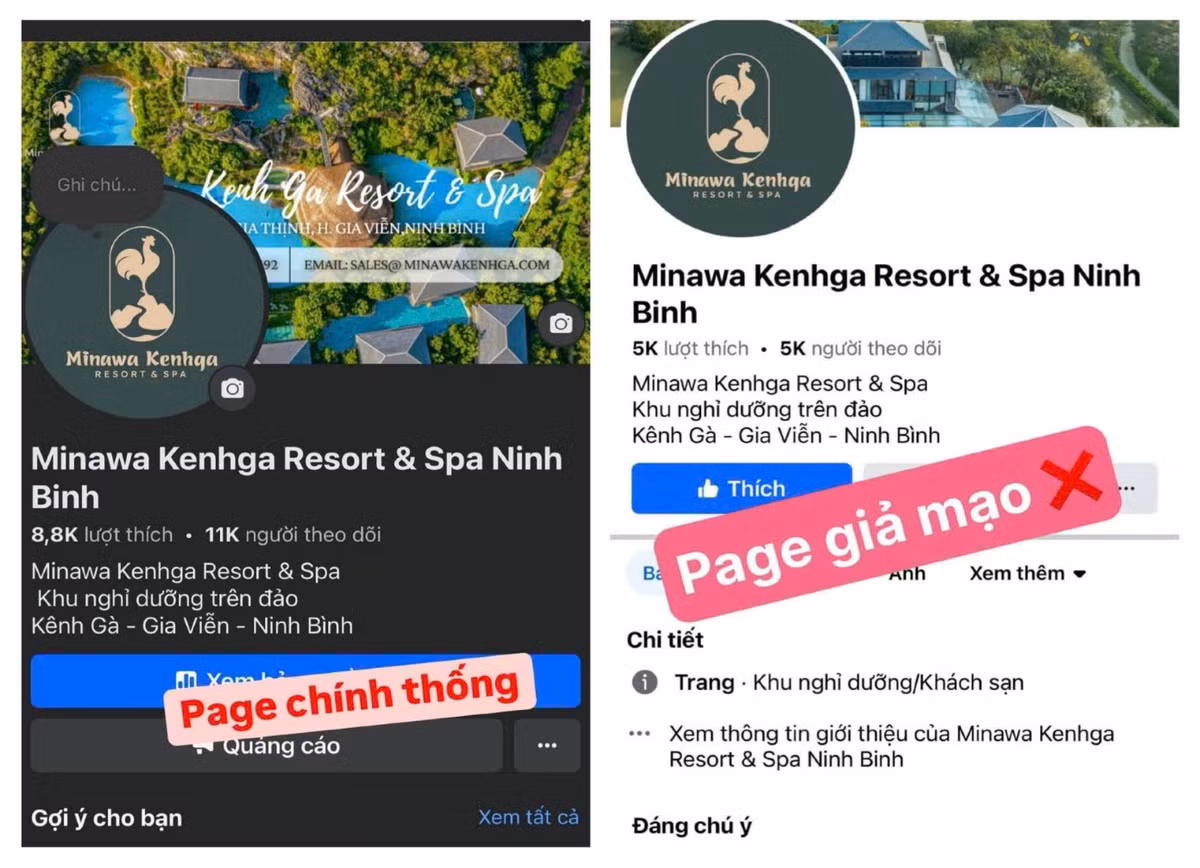 Khách du lịch bị lừa hơn 1 tỷ khi đặt phòng trên mạng - Hình 2 Khach du lich bi lua hon 1 ty khi dat phong tren mang-Hinh-2