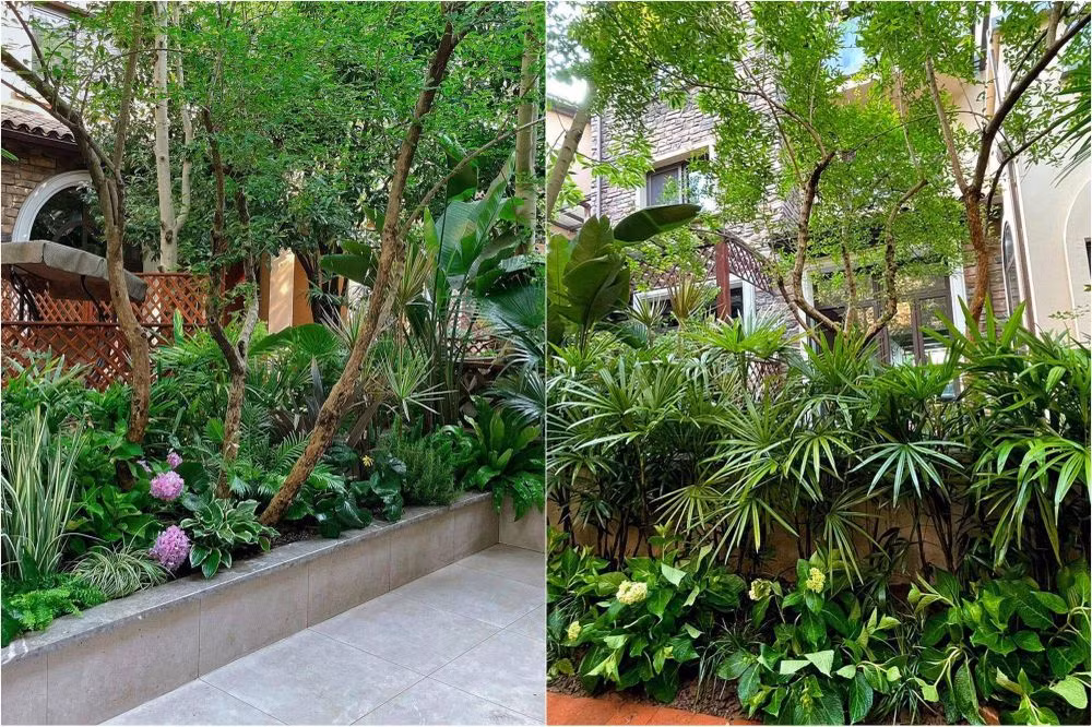 Thời gian tiếp theo, chị An dành nhiều thời gian cho việc nghiên cứu về các loại cây được trồng trong vườn. Với mong muốn có một khu vườn xanh mát nên chị An có xu hướng lựa chọn nhiều loại cây hơn. Đa phần, các loại cây được trồng trong vườn đều rất dễ chăm sóc, có thể phát triển ngay cả khi không được tưới nước mỗi ngày.