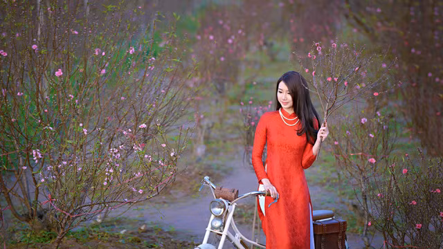 Địa điểm chụp ảnh Tết này được nhiều cô gái ghé thăm, mặc áo dài sắc màu để ghi lại các bức hình đẹp ở vườn đào Nhật Tân.
