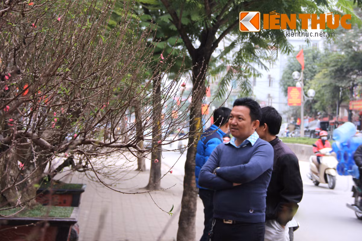 Không ít vị khách đã đi "săn" đào thế "khủng". Tuy nhiên, nhiều người cho rằng với mức giá từ 10 - 100 triệu đồng cho chậu đào thế chơi Tết là khá đắt, bỏ ra số tiền không nhỏ để chơi đào khoảng 1-2 tuần thì chỉ có các đại gia, doanh nghiệp mới chịu được "nhiệt".