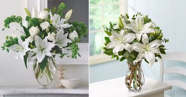 Kiểm tra mực nước trong bình cắm và thay nước thường xuyên (khoàng 2 ngày 1 lần), kịp thời cắt bỏ phần thân bị hư hại.
