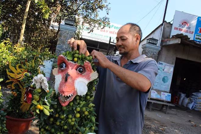 Những cây quất sẽ được uốn, tạo hình dáng của khỉ. Mặt nạ khỉ "Tề Thiên" gắn một mặt để tạo độ sinh động cho chậu cảnh. Giá mỗi cặp quất cảnh hình khỉ được bán với giá 2,5 triệu đồng. Ảnh: Lao Động.