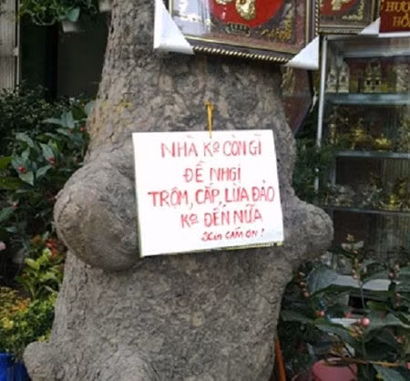 Tiếp tục treo biển "cảm ơn" nếu trộm cắp, lừa đảo không đến nữa.