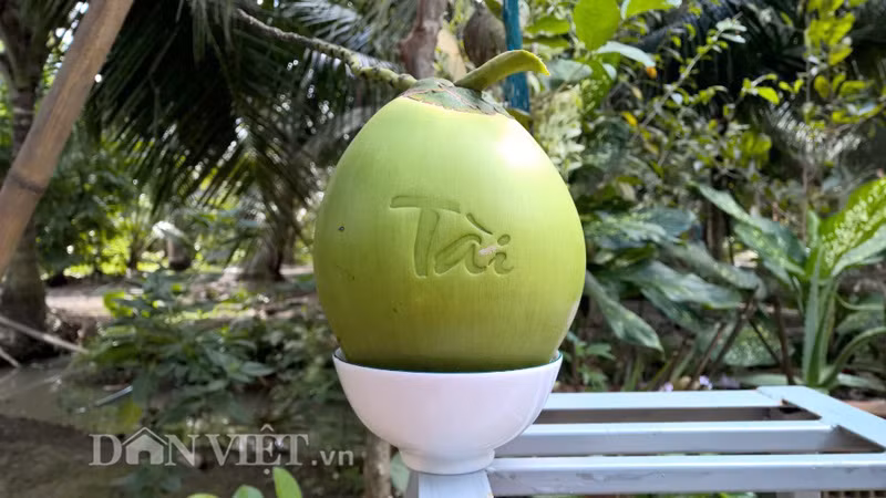 Loat qua tai loc sieu doc bung hang Tet Binh Than-Hinh-2