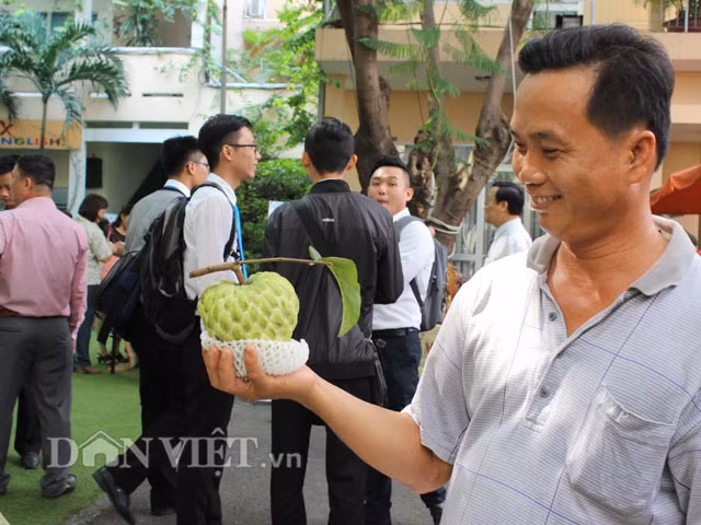 Cũng theo anh Hoàng, do ít hạt, vị thơm, ngon nên giống na Nữ Hoàng trái “khủng” này được thị trường ưa chuộng, tuy nhiên, do số lượng có hạn nên phần lớn được các thương lái, cửa hàng bán trái cây đặc sản gom mua, rồi bán qua mạng cho người có nhu cầu.