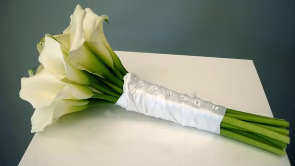 Hoa Zum, hay còn là Rum, tên thật là hoa Thủy Vu. Thủy vu thể hiện sự cung kính, tôn nghiêm. Hoa dành tặng cho Mẹ, chị gái hoặc người phụ nữ bạn tôn kính, yêu quý trong ngày Valentine cũng khá thích hợp. Tùy theo số lượng bông và màu sắc cánh hoa (trắng, hồng, phớt vàng), mỗi bó Rum sẽ có giá từ 300.000 - 400.000 đồng.