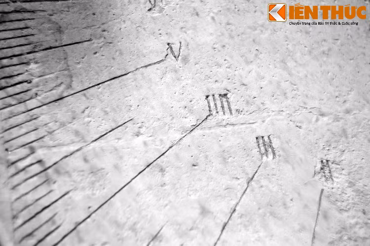 Ngoài công việc của một viên chức, ông còn tham gia thành lập Hội Khai Trí Việt Đức ở Hà Nội và hội SAMIPIC ở Sài Gòn, giúp nhiều sinh viên nghèo học giỏi được đi du học. Từ năm 1943-1944, ông tích cực truyền bá chữ quốc ngữ tại Sài Gòn và các tỉnh.