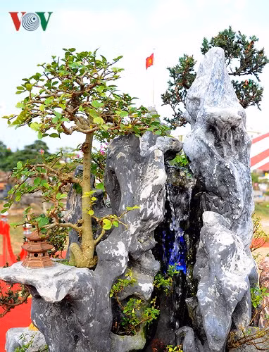 Hình ảnh cột cờ trên đỉnh núi....