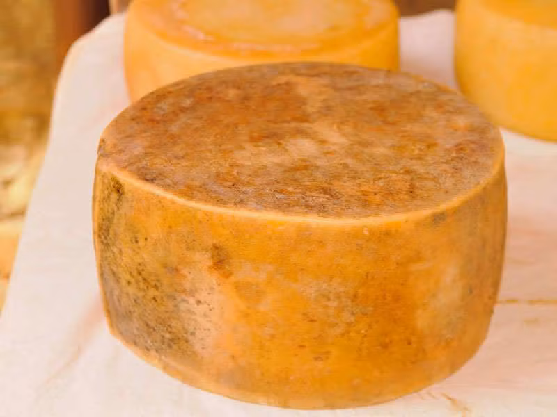 Casu Marzu là một món ngon truyền thống của vùng Sardinia làm từ phô mai sữa cừu và ấu trùng côn trùng sống. Côn trùng giúp lên men phô mai có thể gây đau bụng, buồn nôn, tiêu chảy nên món ăn này đã bị cấm. 