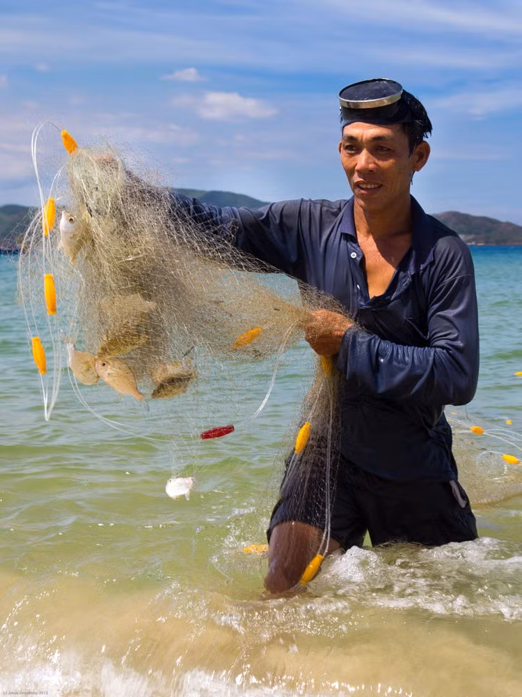 Những chú cá trong mẻ lưới của người dân chài. Ảnh: Jonas Anselmby/ 500px.com.