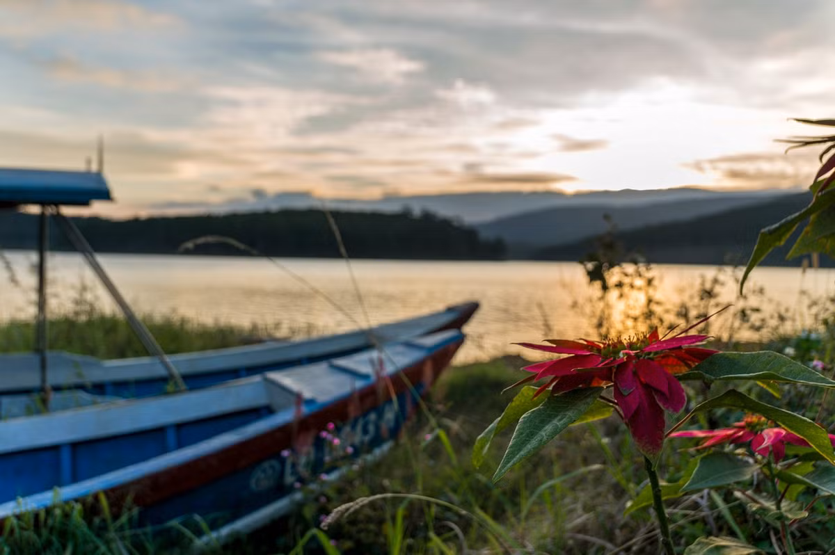 Hoa dại bên hồ Tuyền Lâm. Ảnh: Hans-Jörg Groß Christrose - 500px.com.