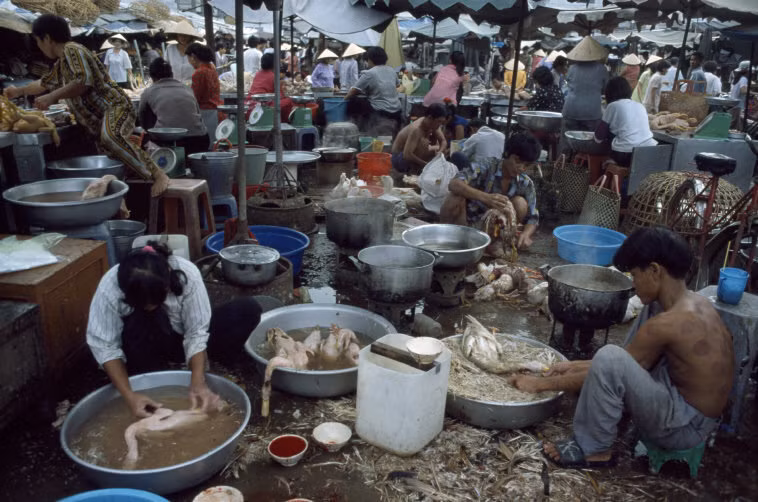 Cảnh làm lông vịt trong một khu chợ ở TP HCM năm 1997. Ảnh: Hiroji Kubota/ Magnum Photos.
